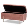 Rockwell Blush Velvet Metal Storage Bench Pink/Gold - Baxton Studio