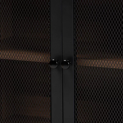 Yuna Natural Brown Wood And Metal 2 Door Storage Cabinet Natural Brown/Black - Baxton Studio - Image 4